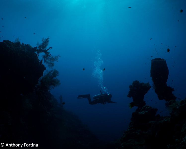 1-Anthony-Fortina_Pixels_diver-silhouette