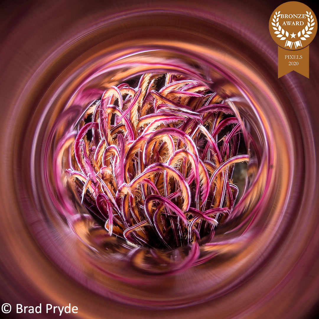 4-BradPryde_Pixels_Reflective-Chaos-B